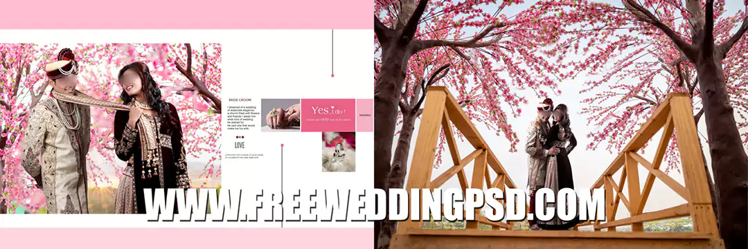 NEW 12x36 DM For Indian Wedding Album Designs