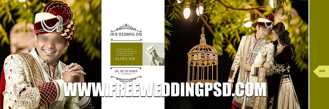 NEW 12x36 DM For Indian Wedding Album Designs