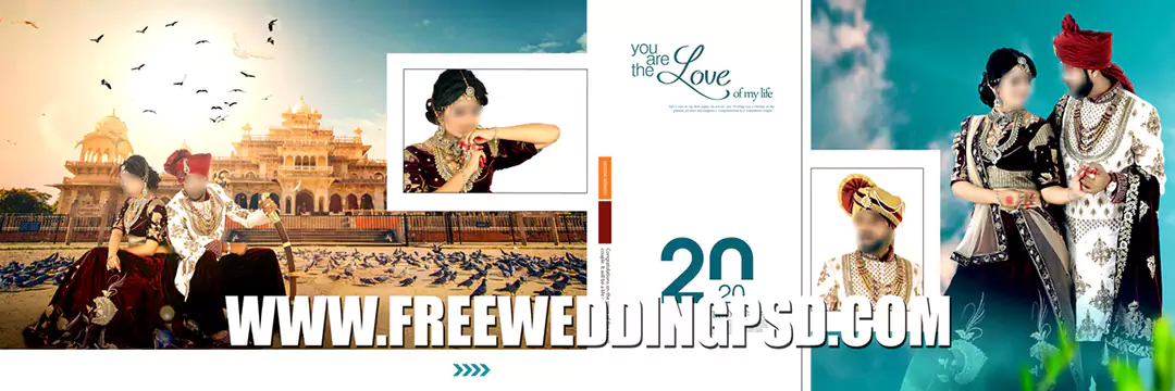 Indian Wedding Album 12x36 DM Design Free