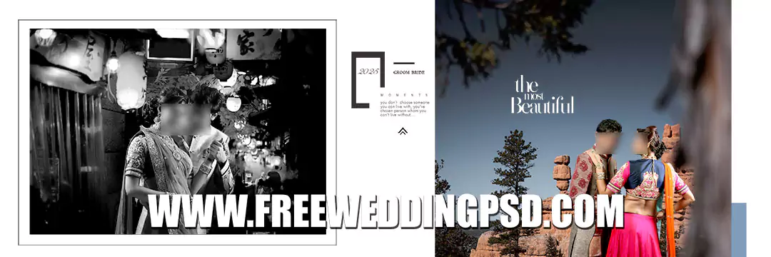 New Indian Wedding Album 12x36 DM Design Free Download
