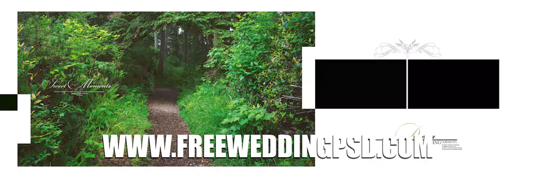 12x36 wedding album psd free