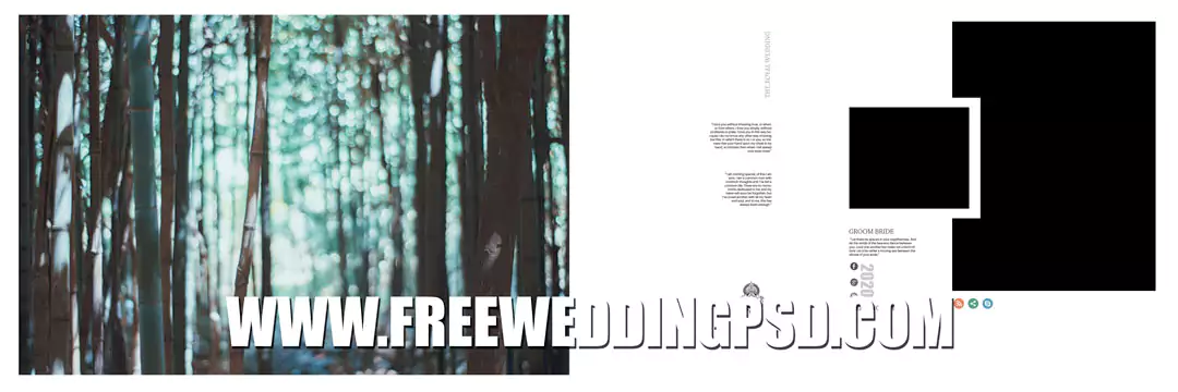 new album 12x36 PSD