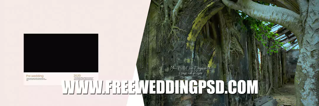 new album 12x36 PSD