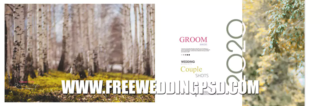 new album 12x36 PSD