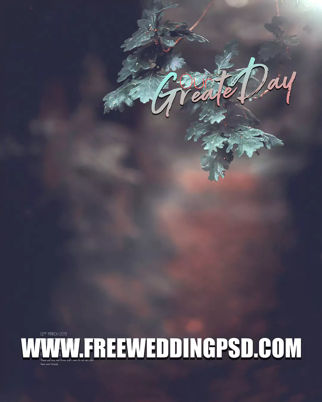 wedding photo background 