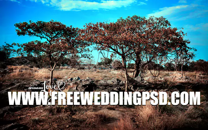 free wedding psd united kingdom