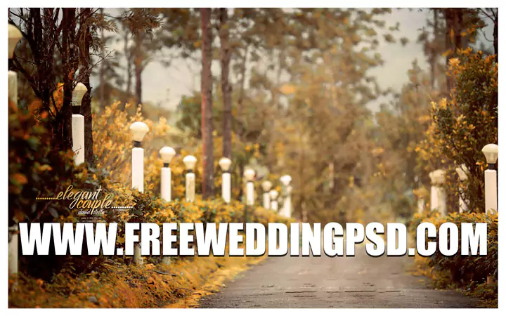 Wedding Background Photos free wedding psd