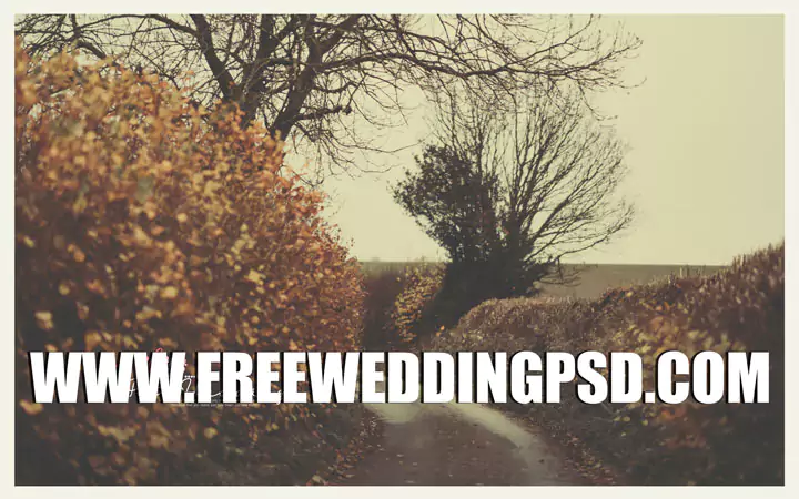 Wedding Background Photos free wedding psd