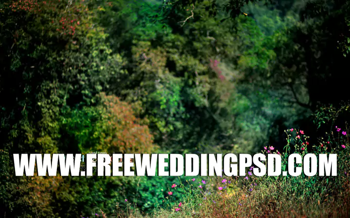 Wedding Background Photos free wedding psd