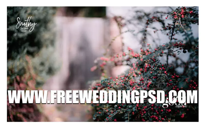 indian wedding psd templates download