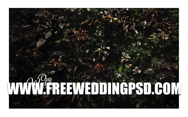 indian wedding psd templates download