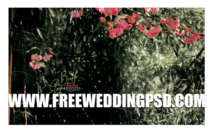 indian wedding psd templates download