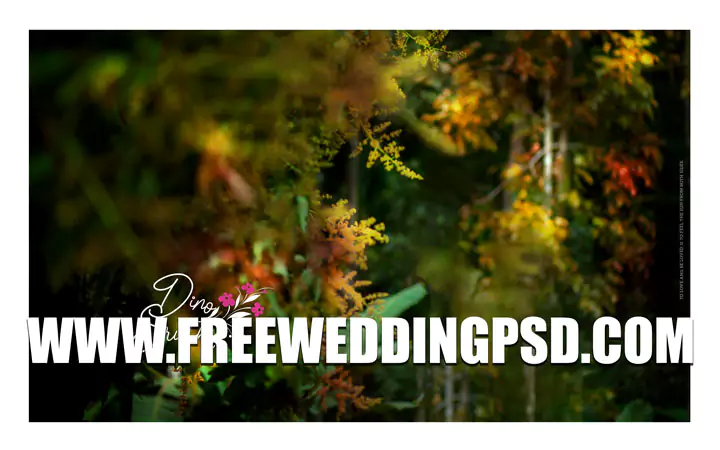 indian wedding psd templates download