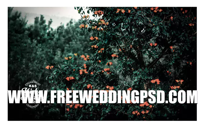 indian wedding psd templates download