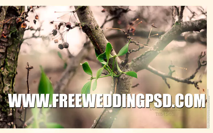 free indian wedding psd 12x36 Templates