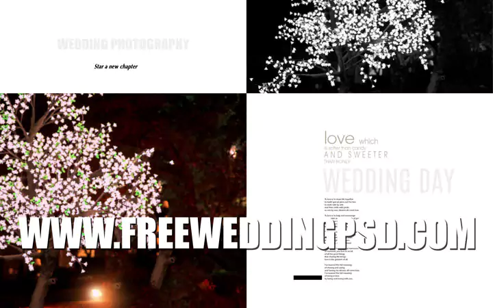 free indian wedding psd 12x36 Templates