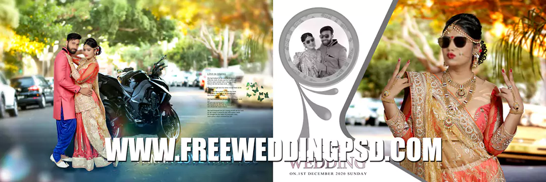 Free Wedding Psd 12 X 36 (882) | royal indian wedding album design