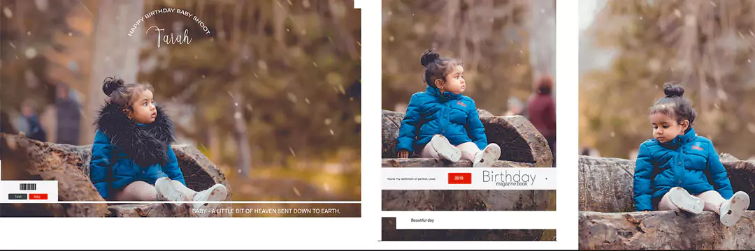 Birthday Album Design PSD Free Download 12X36