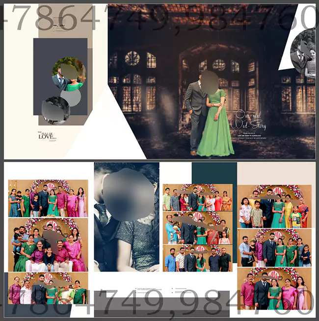 Indian Wedding Album Design 12X30