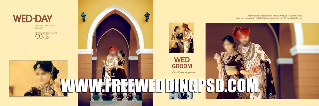 Bride Groom DM in 2022 | 12x36  Wedding album design