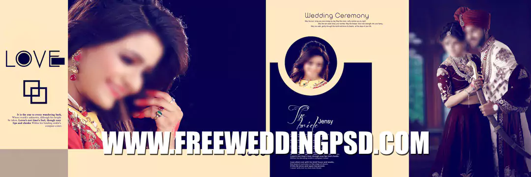 Bride Groom DM in 2022 | 12x36  Wedding album design