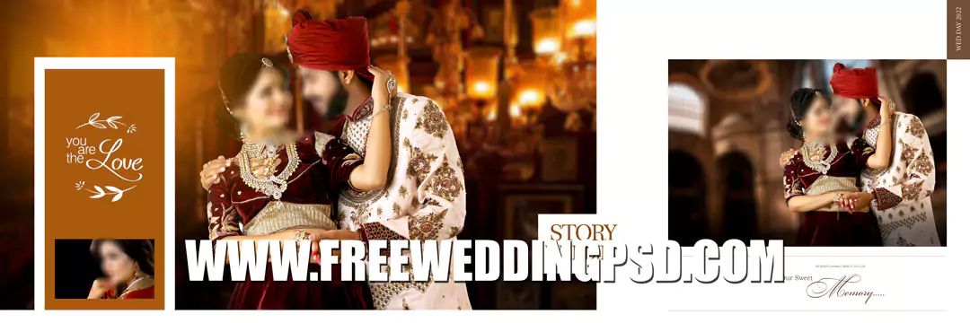 Bride Groom DM in 2022 | 12x36  Wedding album design