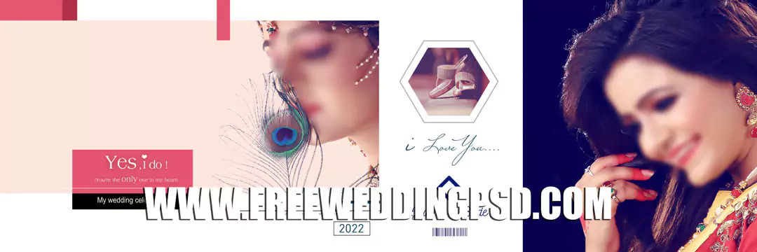 Bride Groom DM in 2022 | 12×36  Wedding album design