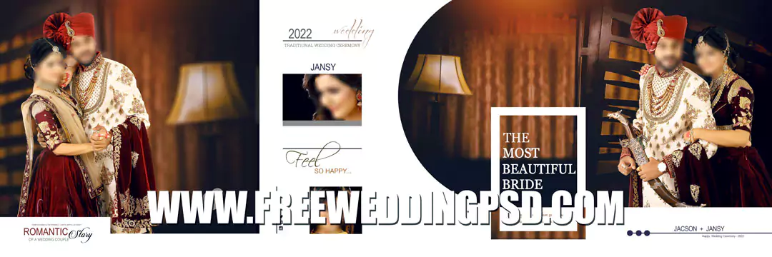 Bride Groom DM in 2022 | 12x36  Wedding album design