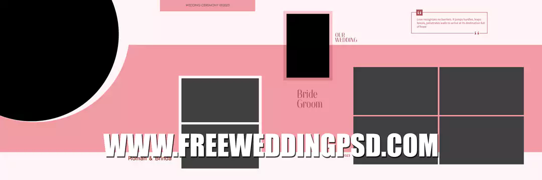 wedding vidhi bridal album design
