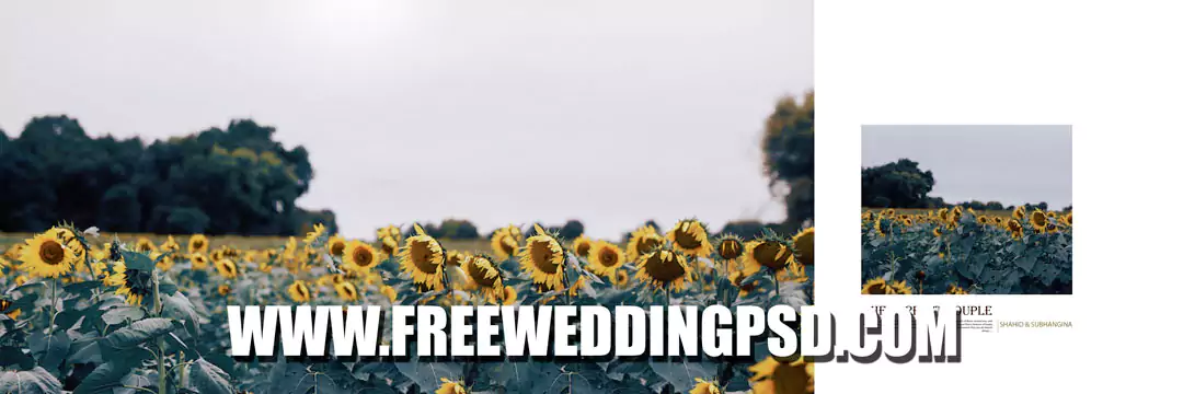 outdoor wedding album design background