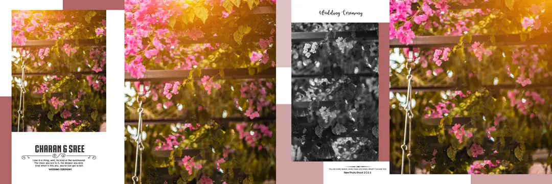 wedding 12x36 collage psd background